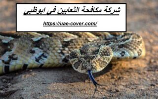 شركة مكافحة الثعابين في ابوظبي