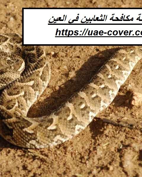 شركة مكافحة الثعابين في العين