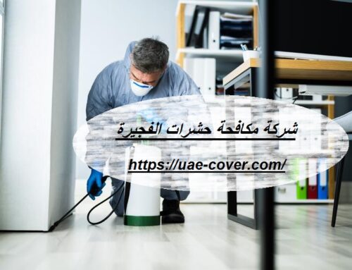 شركة مكافحة حشرات الفجيرة |00201114323865| الوعد الذهبي