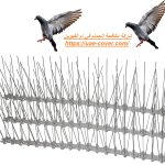 شركة مكافحة الحمام في ام القيوين